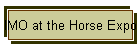 IMO at the Horse Expo